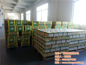 广州物流仓储托管首选 龙森仓储，一站式托管与设备租赁服务